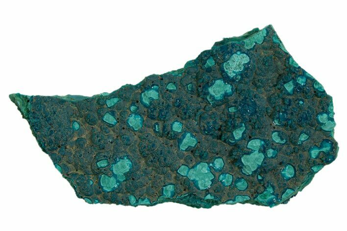 Teal Botryoidal Chrysocolla and Malachite - Chile #310147
